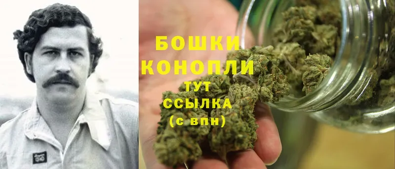 Бошки Шишки SATIVA & INDICA  Добрянка 